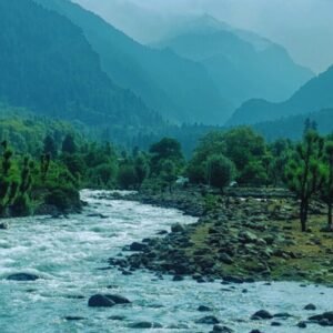 Kashmir Workation: 15 Days of Remote Paradise