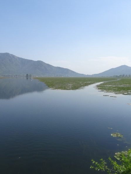 DSC04475